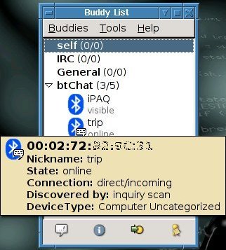 buddy list showing information about a direct connected node